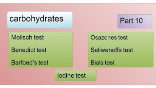 Molisch  Benedict  Barfoeds  seliwanoffs  Bials  Osazone amp Iodine test [upl. by Dwinnell231]