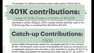 Self directed 401k contribution limits 2025 [upl. by Acnayb]