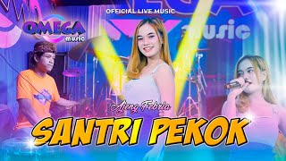 Santri Pekok  Ajeng Febria Omega Music [upl. by Noiroc]