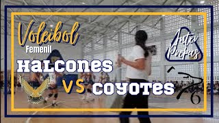 Coyotes Prepa 6 vs Halcones Prepa 9 Femenil Menor [upl. by Vano]