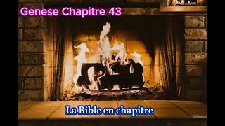 Genese Chapitre 43 [upl. by Ahtoelc227]