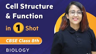 Cell Structure and Function in One Shot  Biology  Class 8th  Umang  Physics Wallah [upl. by Yrovi]