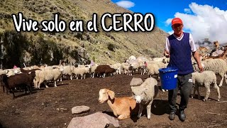 quotJONSHITOquot vive en el CERRO haciendo QUESITOS de CABRA🐐 y resguardado por sus 10 PERROS 🐕 [upl. by Pulcheria]