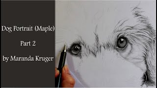 Drawing Timelapse  Dog Portrait of Maple Part 2 [upl. by Ennirac]