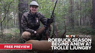 Roebuck Season Begins Anew at Trolle Ljungby Series 1  An MOTV Original [upl. by Yht]