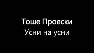 Тоше Проески  Усни на усни  Usni na usni  Tose Proeski LYRICSTEKST [upl. by Atniuq]