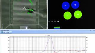 CineLyzer with Photometry Demo [upl. by Nyletak]