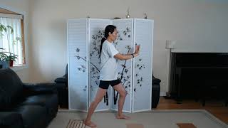 Tai Chi Yang Style 37 Form Movements 57 Mirror Image [upl. by Ahsiek235]