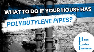 Got Polybutylene Pipes Heres What To Do About Your Plumbing [upl. by Asiluy964]