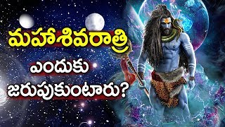 What is the Story Behind Mahashivratri  Why do we Celebrate Mahashivratri  Rajak Shaiks [upl. by Ennagroeg]