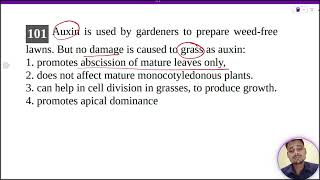 Auxin is used by gardeners to prepare weedfreelawns But no damage is caused to grass as auxin1 [upl. by Neenej]