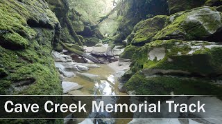 Cave Creek Track West Coast New Zealand  4K [upl. by Picco183]