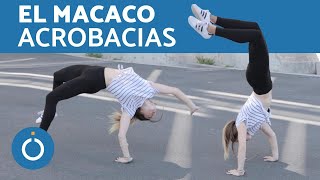 ACROBACIAS BÁSICAS desde el suelo  EL MACACO [upl. by Eyllib]