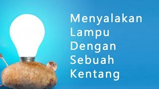 Cara Menyalakan Lampu dengan Sebuah Kentang [upl. by Terrena]