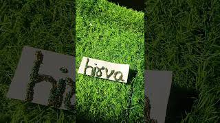 New name hirva subscribe my channel and comment your name [upl. by Wendeline]