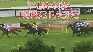 HORSE RACE IN TAURANGA RACING [upl. by Tiffie]