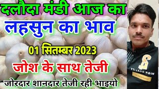 दलौदा मंडी आज का लहसुन का भाव 01 सितम्बर 2023 garlic rate today aaj ka lahsun ka bhav dalodamandi [upl. by Lirba366]