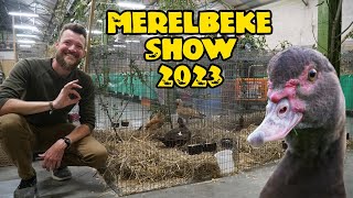 Poultry show Merelbeke Oct 23 [upl. by Letisha339]