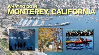 What to do in Monterey [upl. by Daisey]