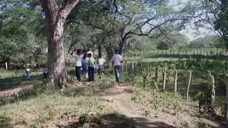 El Biblioburro Libros Viajero recorre las veredas y los caseríos caribeños Descubre su magia [upl. by Symer406]