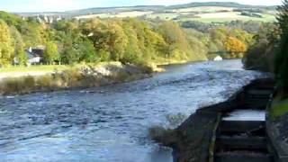 Pitlochry Salmon Ladder [upl. by Nerine998]