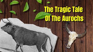 The Tragic Tale Of The Aurochs  Extinction Stories  The Florist And Faunist [upl. by Fe39]