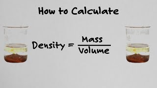 How To Calculate Density  With Examples [upl. by Leumas]