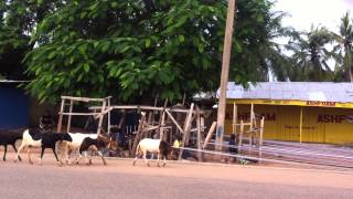 Kente weavingChild Labour in Upper west Region Ghana [upl. by Deeas570]