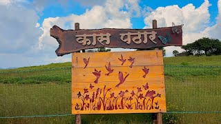 Kaas Plateau Satara  Kaas Pathar  Kaas Pathar Information In Marathi Satara [upl. by Odlaniger]