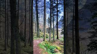 Glencoe An Torr Stunning walk in Scotland vanlife travel [upl. by Leipzig]