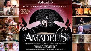 THE GENIUS OF AMADEUS [upl. by Moir]