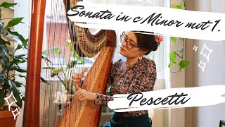 Pescetti Sonata in C minor for harp  movement 1  Sam MacAdam [upl. by Retloc]