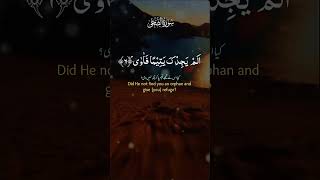 surahduha surahduhawithurdutranslation quran [upl. by Otsirave702]