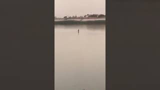 People walking across the Tigris River in Baghdad for the first time [upl. by Atikan177]