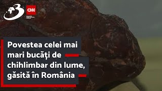 Povestea celei mai mari bucăți de chihlimbar din lume găsită în România [upl. by Franciska]