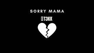 SORRY MAMA  CHR1ST3KK RMX [upl. by Macguiness]