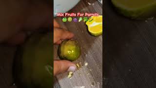 Mix Fruits For Parrots All Birds Fruits Time  Urdu  Hindi [upl. by Appel967]