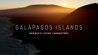 Explore the Galapagos Islands with Google Maps [upl. by Kcirdes216]