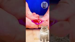 Avoid Popping Pimples 😷 Create a DIY Pimple Game DIY Hack Reaction Cat [upl. by Adlai953]