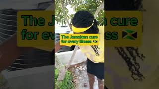 CERASEE jamaica shorts [upl. by Stalk]