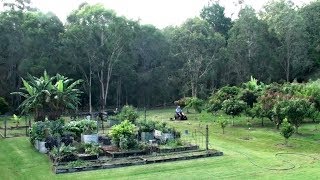 Working the Urban Farm amp Developing My Online Career Change [upl. by Chadwick]