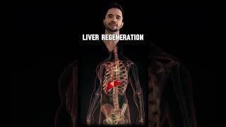 Can Your Liver Regenerate Itself [upl. by Minna45]