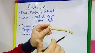 CLAVICLE GENERAL FEATURES AND ATTACHMENTS BY DR MITESH DAVE [upl. by Norby]