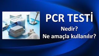 PCR TESTİ NEDİR NE AMAÇLA KULLANILIR [upl. by Dnama878]