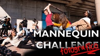 El MANNEQUIN CHALLENGE de FOTOGRAFÍA más grande [upl. by Aekal360]