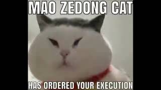 Mao Zedong Cat Has Ordered Your Execution  1 HOUR Loop [upl. by Lebna]