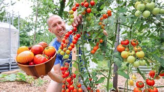 Unbelievable Backyard Garden Harvest So Much Food in So Little Space 🤯 [upl. by Jezebel738]