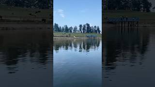 Sanasar Lake l Patnitop l Lake View From Boat 🚣 [upl. by Raviv]