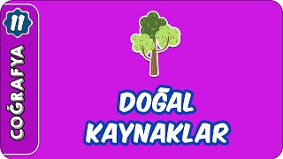 Doğal Kaynaklar  11 Sınıf Coğrafya [upl. by Ahseet728]