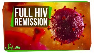 The SecondEver Case of Full HIV Remission  SciShow News [upl. by Mendel]